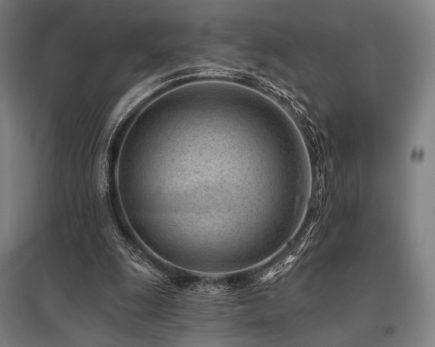 X0000096150247200801181209