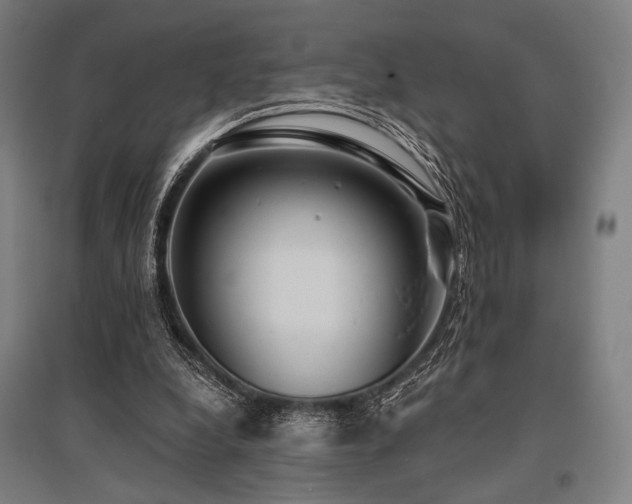 X0000096150248200801181209