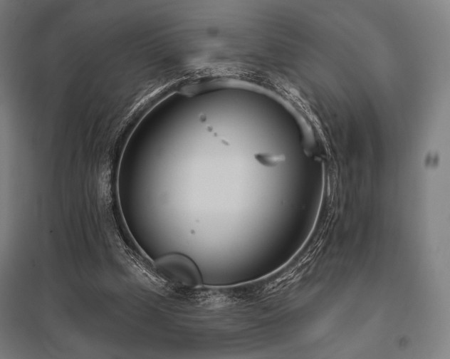 X0000096150249200801181209