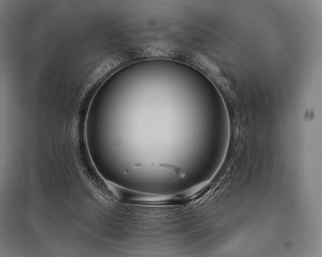 X0000096150250200801181209