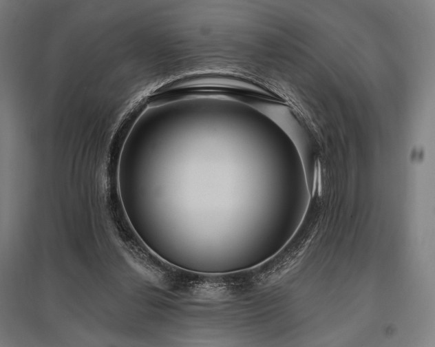 X0000096150252200801181209
