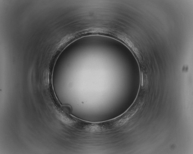 X0000096150253200801181209