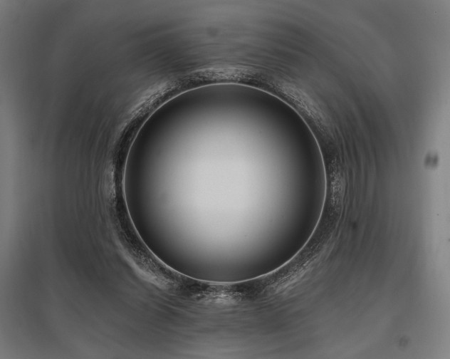 X0000096150254200801181209