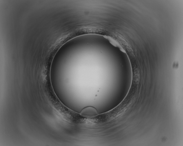 X0000096150255200801181209