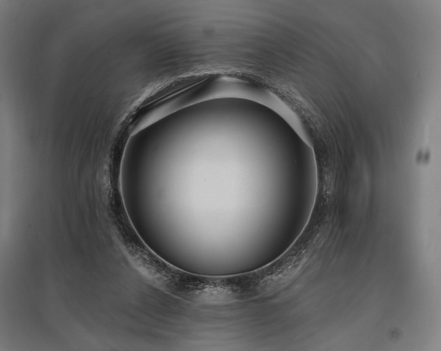 X0000096150256200801181209