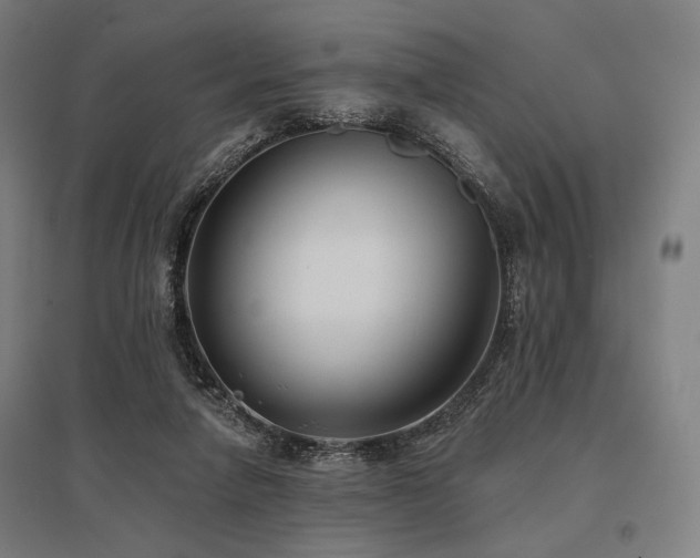 X0000096150258200801181209