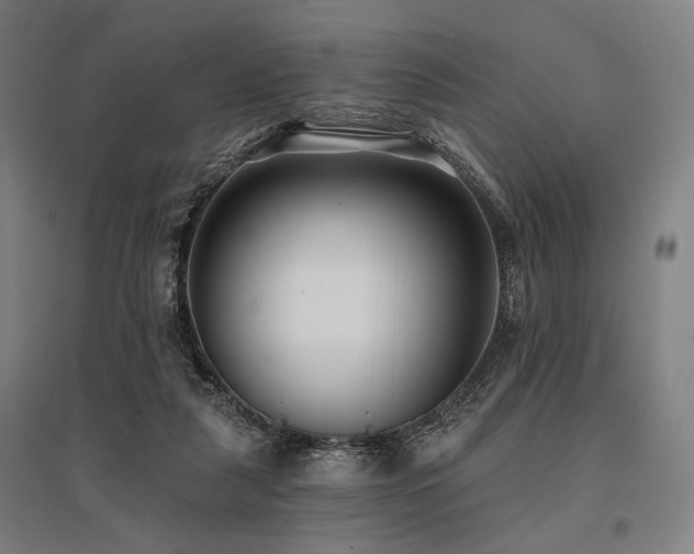 X0000096150259200801181209