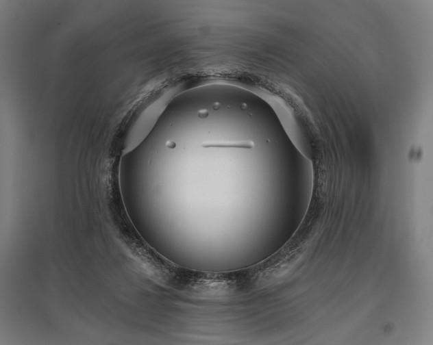 X0000096150260200801181209
