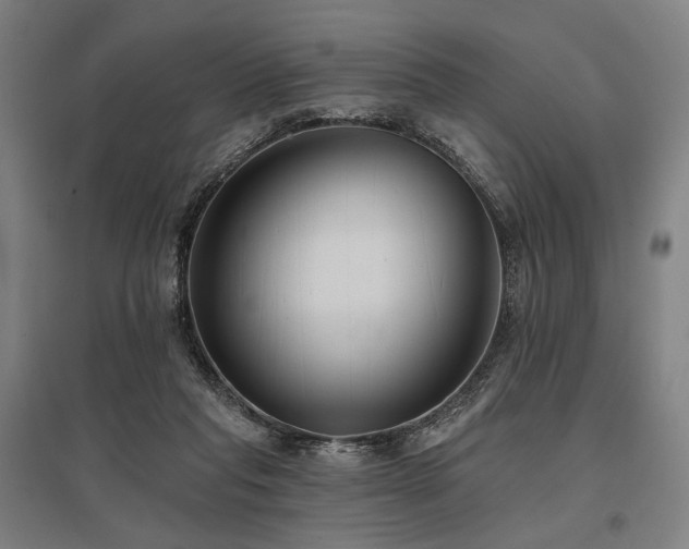 X0000096150261200801181209