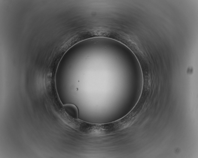 X0000096150263200801181209