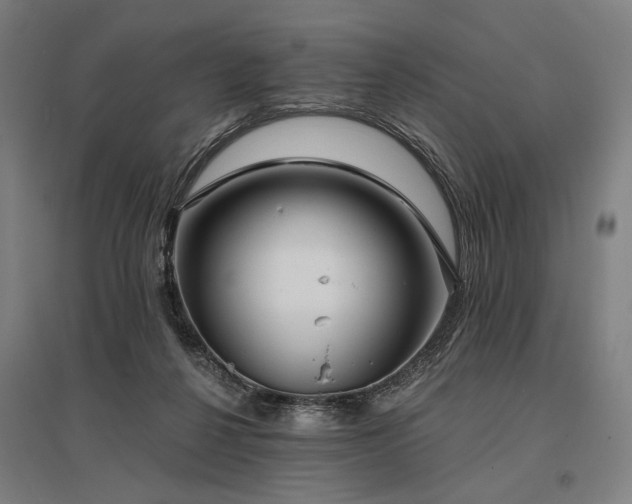 X0000096150264200801181209