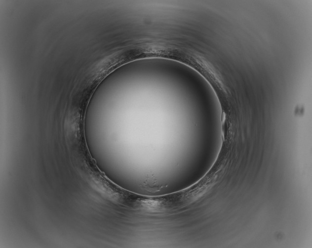 X0000096150265200801181209