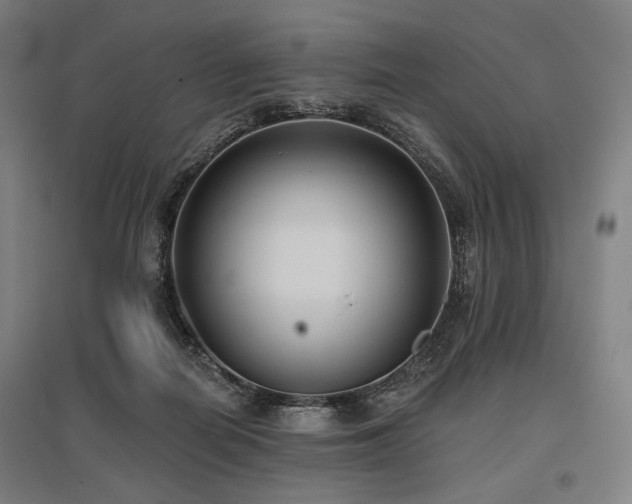 X0000096150266200801181209