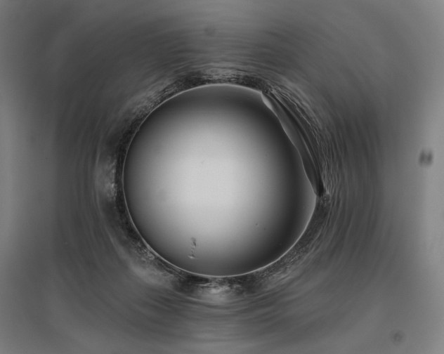 X0000096150267200801181209