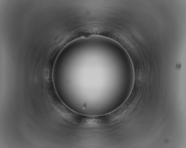 X0000096150268200801181209