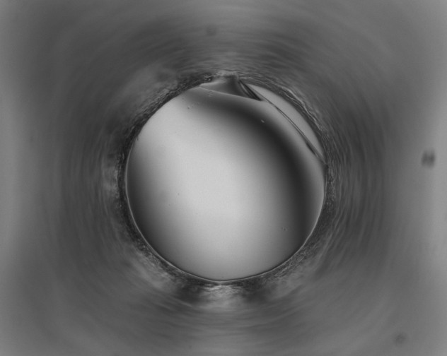 X0000096150269200801181209
