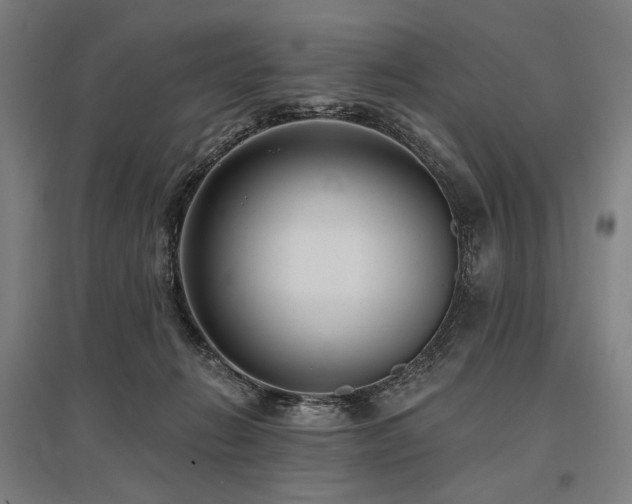 X0000096150270200801181209