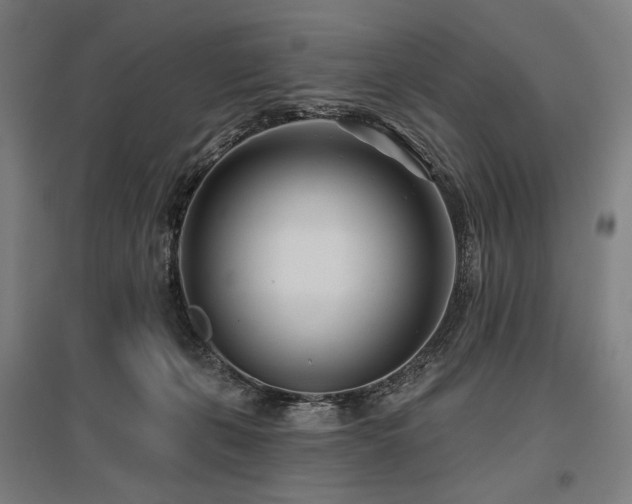 X0000096150271200801181209