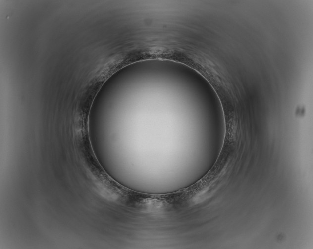 X0000096150272200801181209