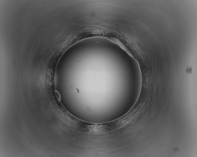 X0000096150273200801181209