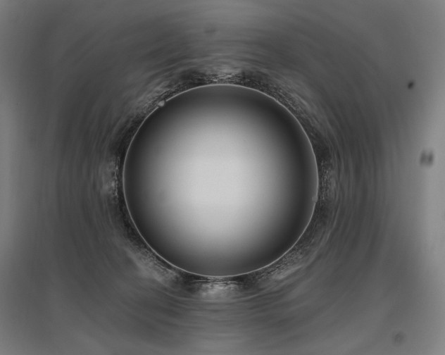 X0000096150274200801181209