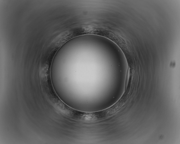 X0000096150275200801181209
