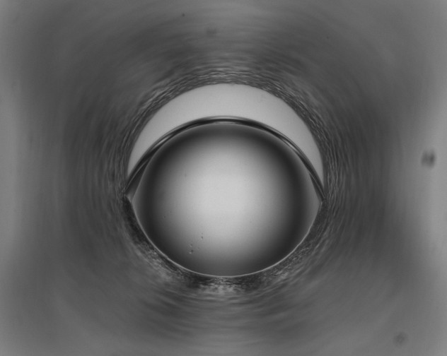 X0000096150276200801181209