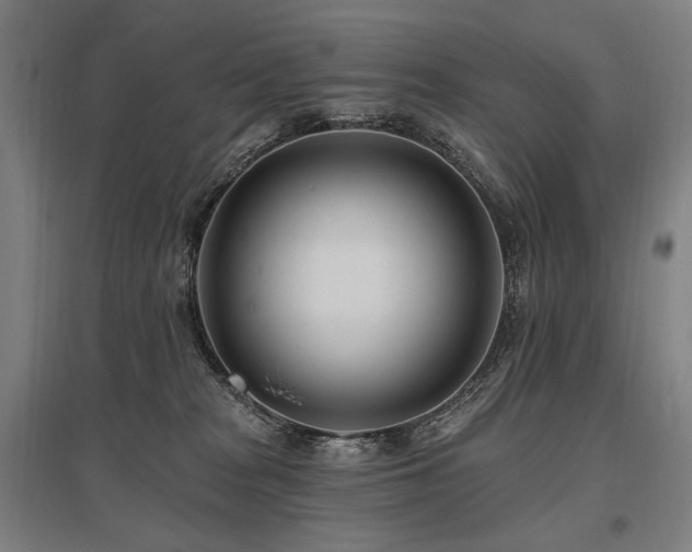 X0000096150277200801181209