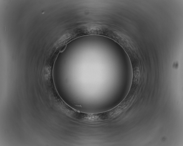 X0000096150278200801181209