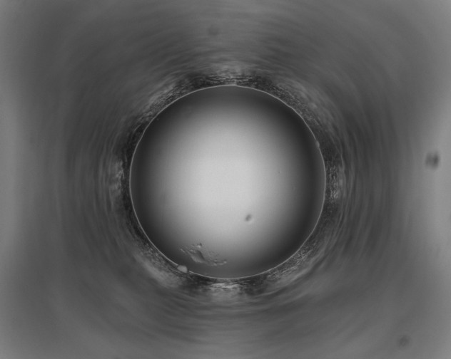 X0000096150279200801181209