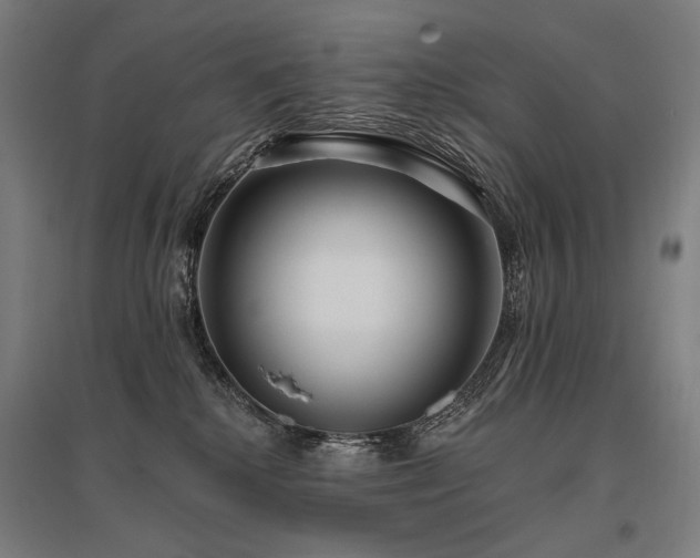 X0000096150280200801181209