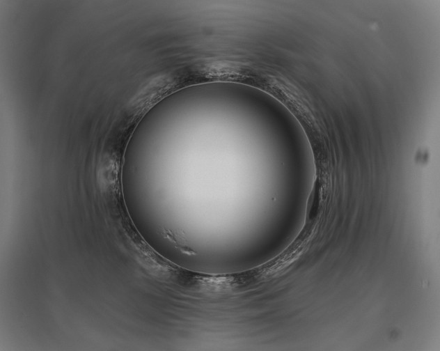 X0000096150281200801181209