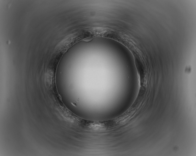 X0000096150283200801181209