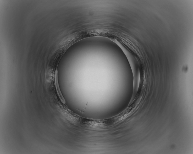 X0000096150284200801181209