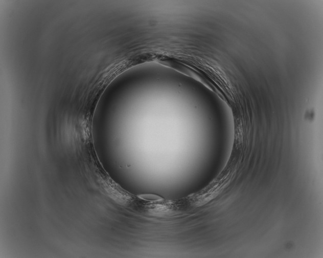 X0000096150285200801181209