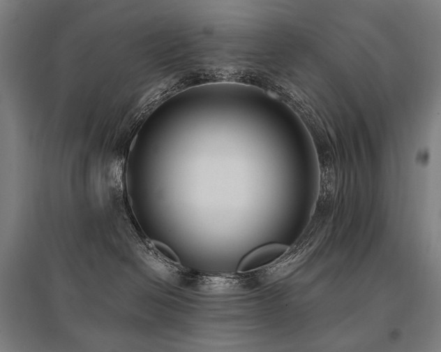 X0000096150286200801181209