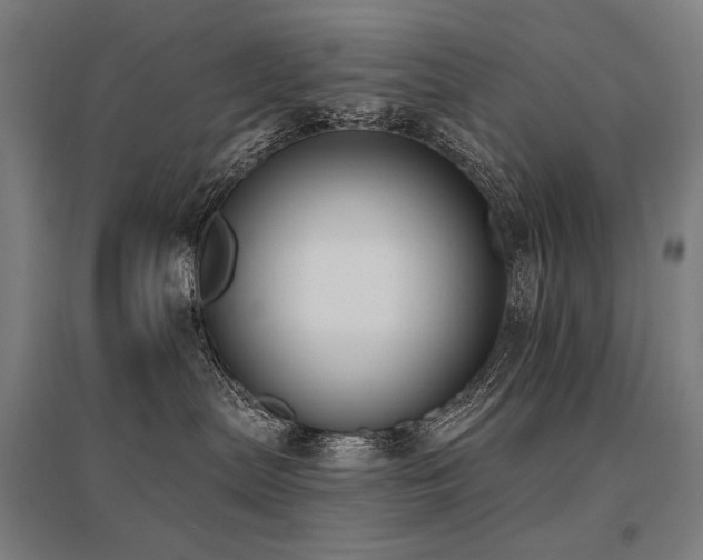 X0000096150287200801181209