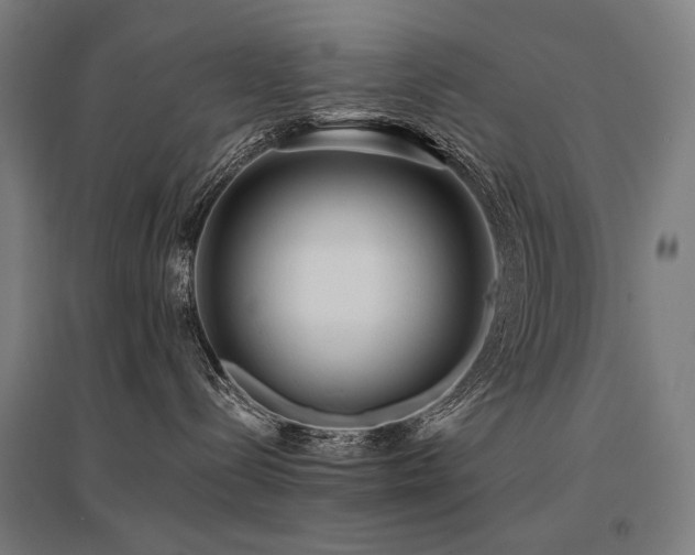 X0000096150288200801181209