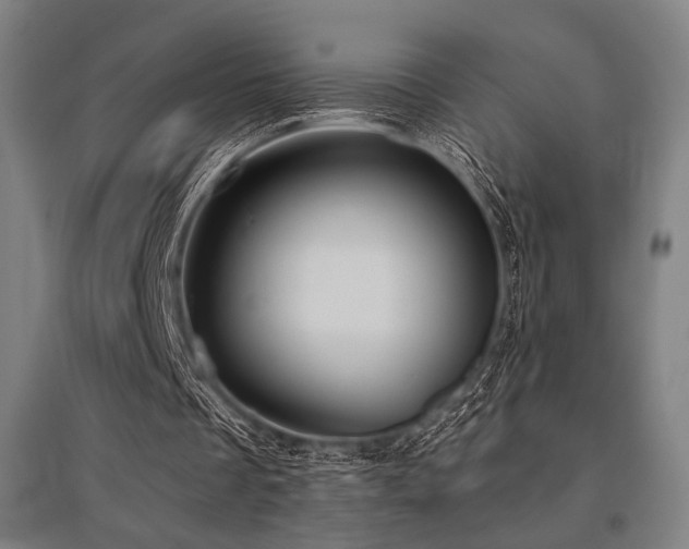 X0000096150289200801181209