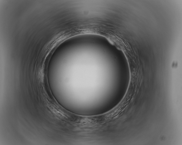 X0000096150290200801181208