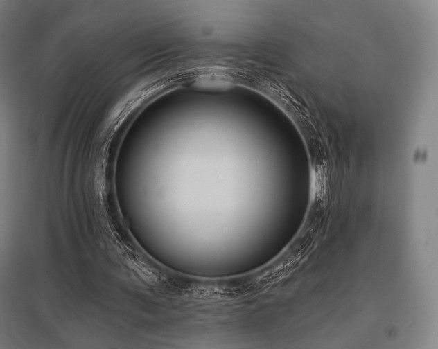 X0000096150291200801181208