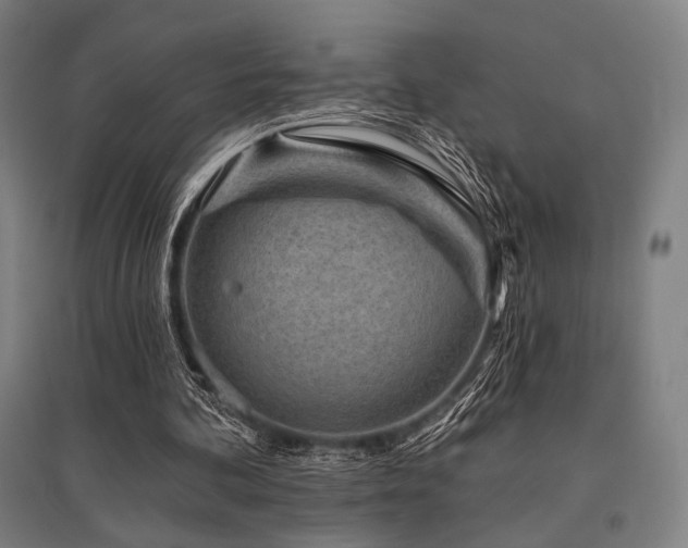X0000096150292200801181208