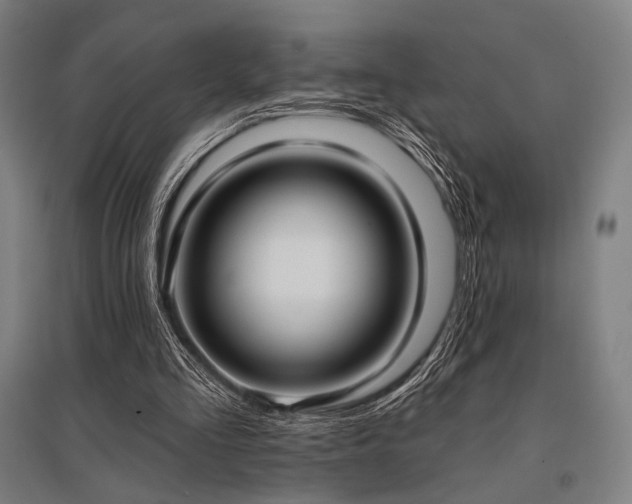 X0000096150293200801181208