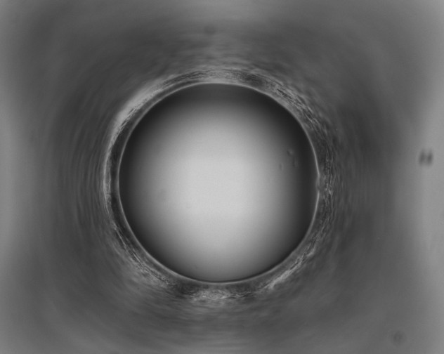 X0000096150294200801181208