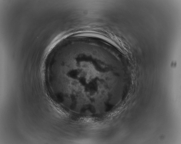 X0000096150295200801181208