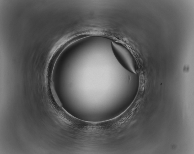 X0000096150296200801181208