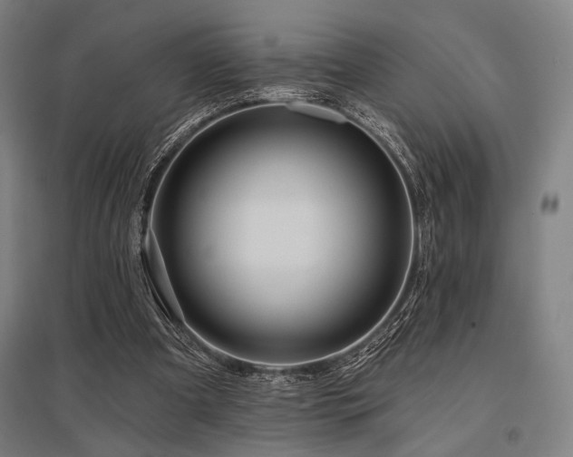 X0000096150297200801181208
