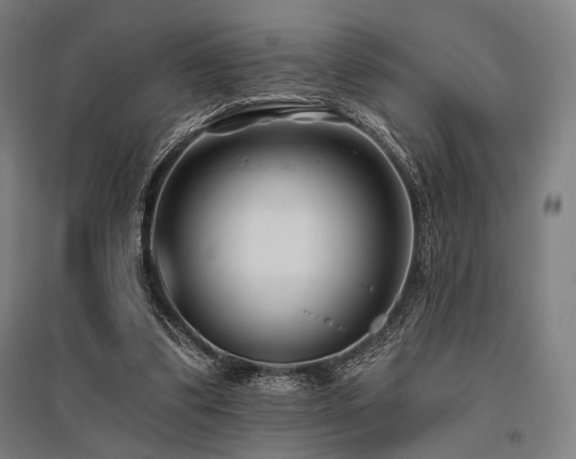 X0000096150299200801181208