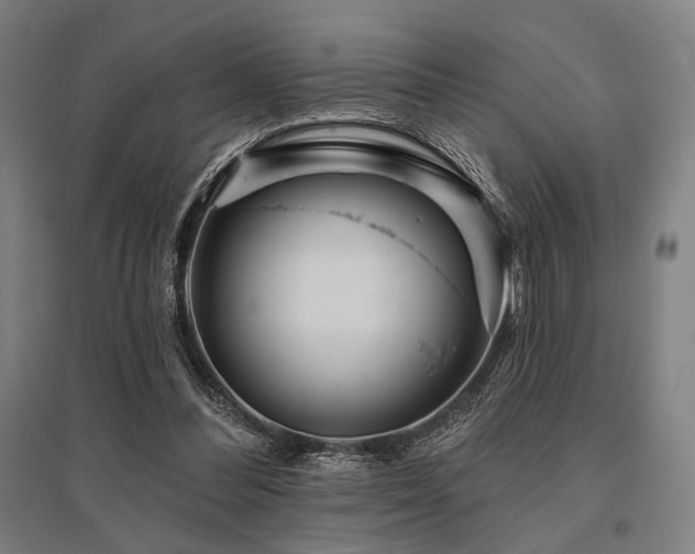 X0000096150300200801181208