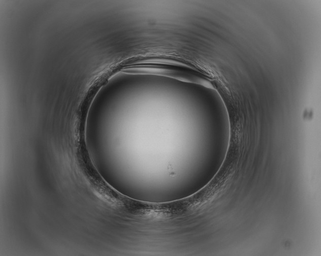 X0000096150303200801181208